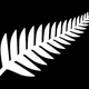 "Silver Fern (Black and White)," by Kyle Lockwood.